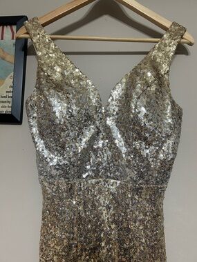 Gold & Silver Sequin Party Dress